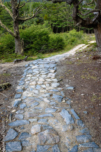 Rustic stone and dirt path leading into the forest, Cerro Alarken Nature Reserve, Ushuaia, Argentina photo