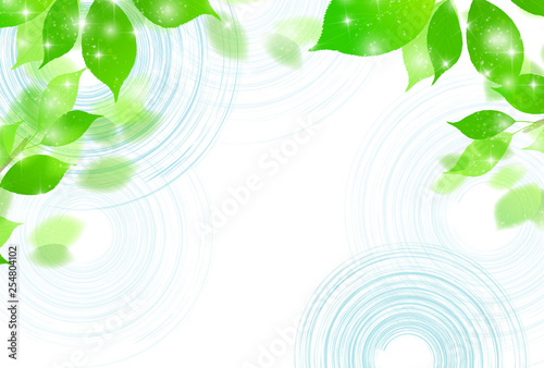      新緑　葉　緑　背景 