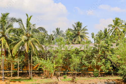 Sri Lankan Home