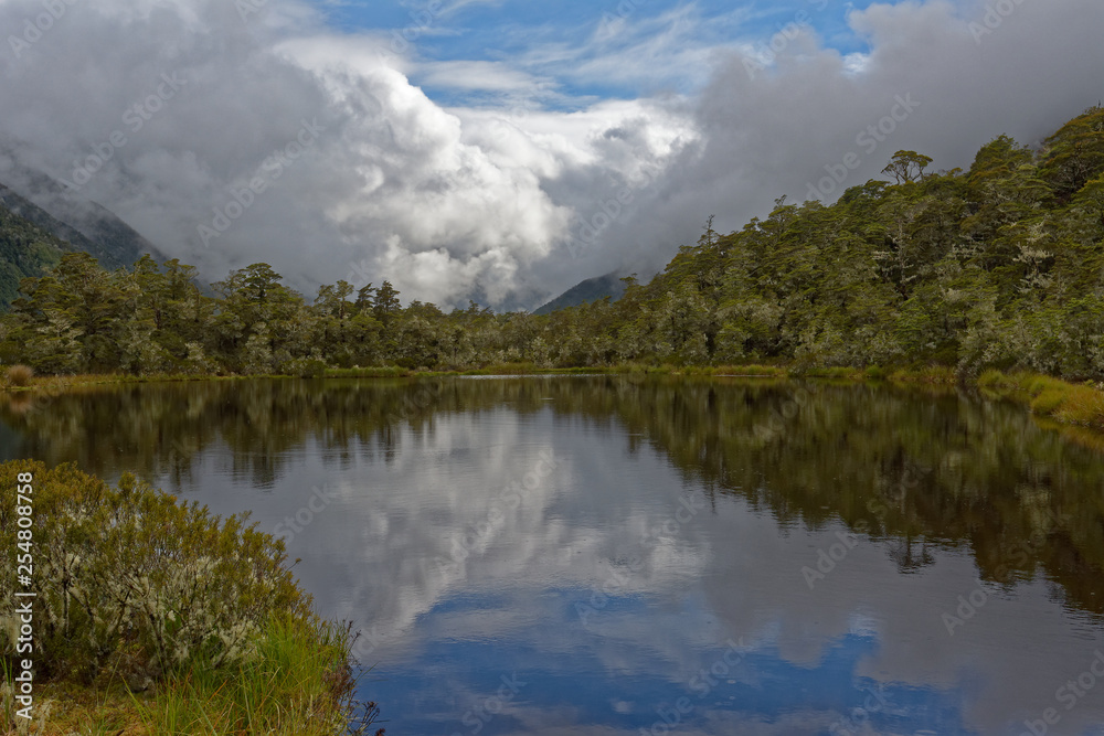 Tarn at the Lewis Pass picnic area of the St James Walkway, New Zealand