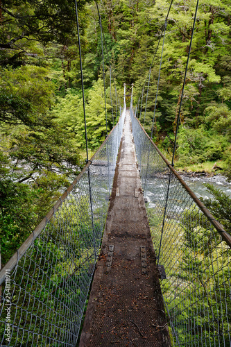 Fototapeta Naklejka Na Ścianę i Meble -  A swing bridge over Cannibal Gorge on the St James Walkway hiking track in New Zealand