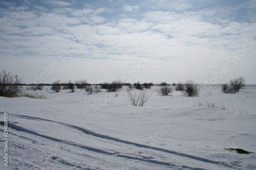 winter rural landscape with frozen lake and snow