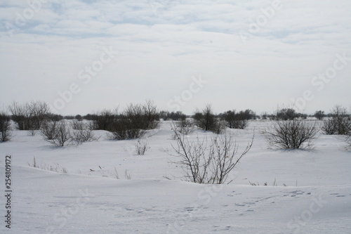 winter mountain landscape with snowy trees and snow © Юрий Сон