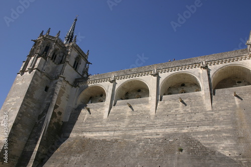 Château médiéval d'Amboise-5