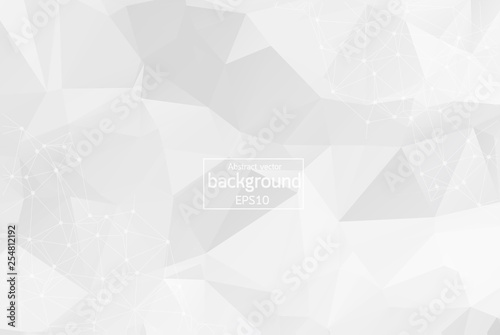 Abstract White Geometric Polygonal background molecule and communication. Connected lines with dots. Concept of the science, chemistry, biology, medicine, technology.