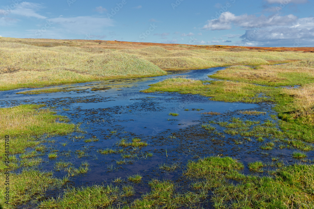 Landschaft in der Nähe des Myvatn, Island