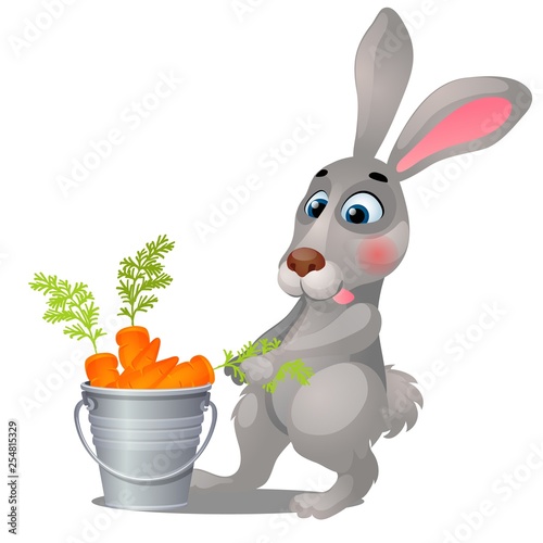 Animated grey hare and steel bucket filled with ripe carrots isolated on white background. Vector cartoon close-up illustration.