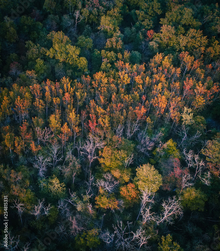 A picturesque aerial view of a forest in the fall near Poolesville, Maryland, USA.