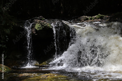 waterfall in the forest © Guilherme