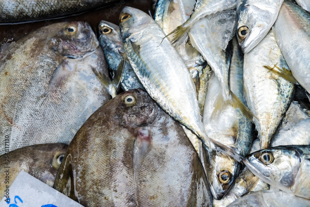 Obraz premium Giant Pomfret with many deep seafood fish top view background