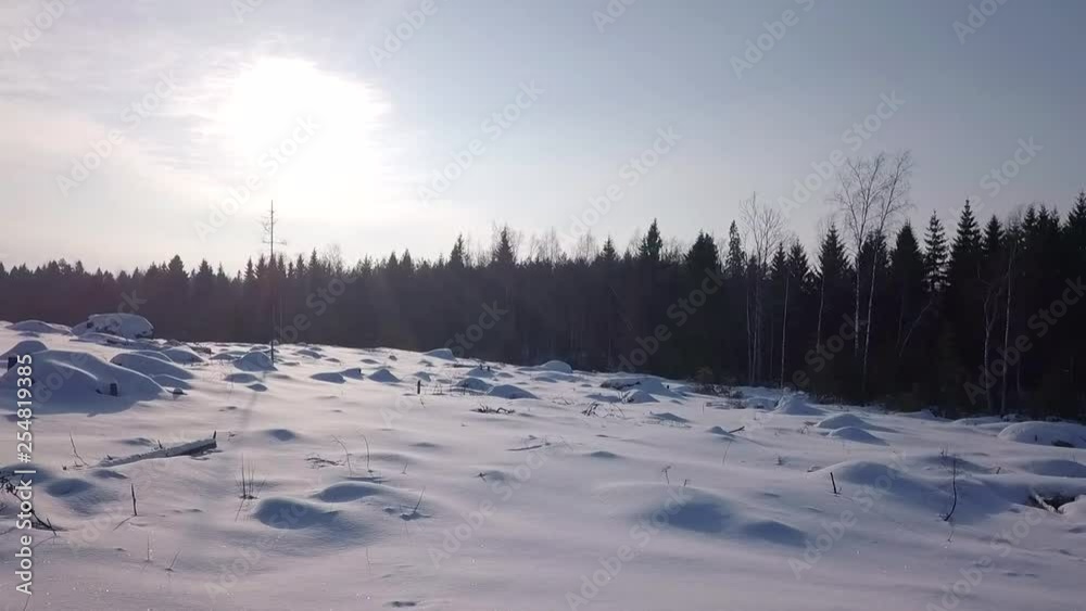 AERIAL sideways, ice cold winter landscape, forest and clear-felled area AERIAL sideways, ice cold winter landscape, forest and clear-felled area