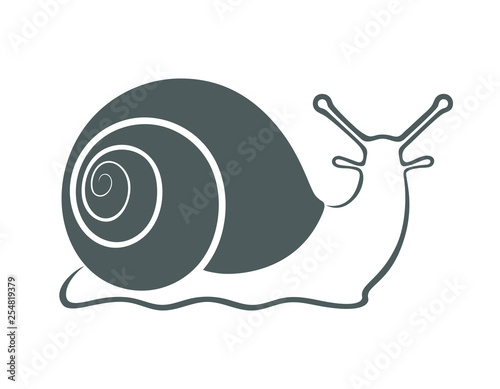 Sign snail. Grey symbol snail. Isolated icon snail on white background. Vector illustration