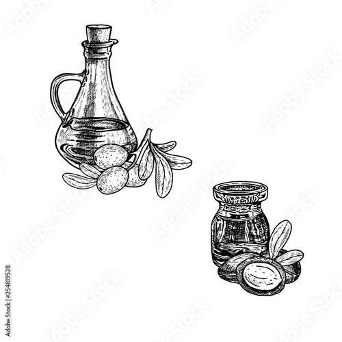 Hand drawn sketch of argan oil. Extract of plant. Vector illustration