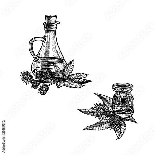 Hand drawn sketch of castor oil. Extract of plant. Vector illustration
