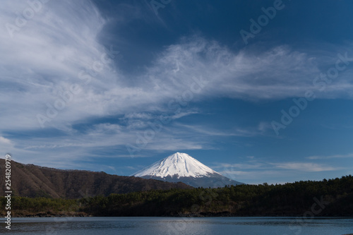 西湖湖畔からの青木ヶ原樹海と富士山