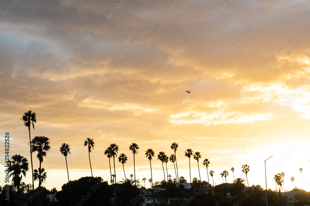 Beautiful sunset with palm silhouettes and a helicopter flying on a golden sunset sky.