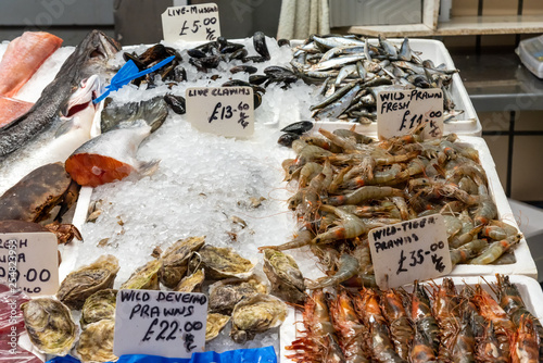 Clamms and crustaceans for sale at a market photo
