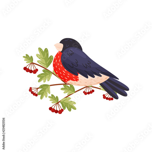 Cartoon bullfinch on white background. Bird and spring.