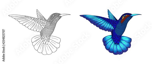 Small hummingbird. Exotic tropical colibri animal icon. Golden emerald feathers