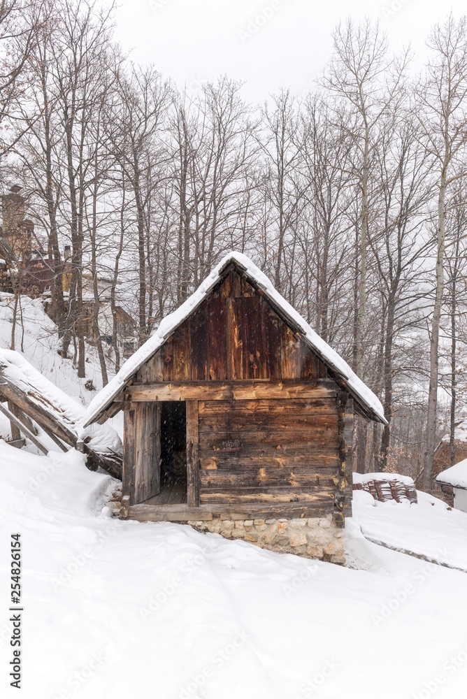 mountain house. cottage house log cabin