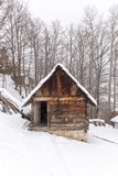 mountain house. cottage house log cabin