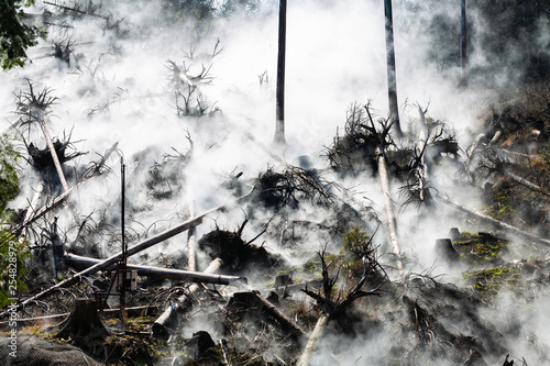 火山の蒸気 photo