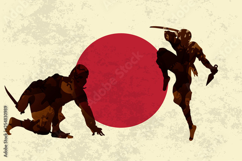Ancient Japanese Assassin, Ninja, Duel