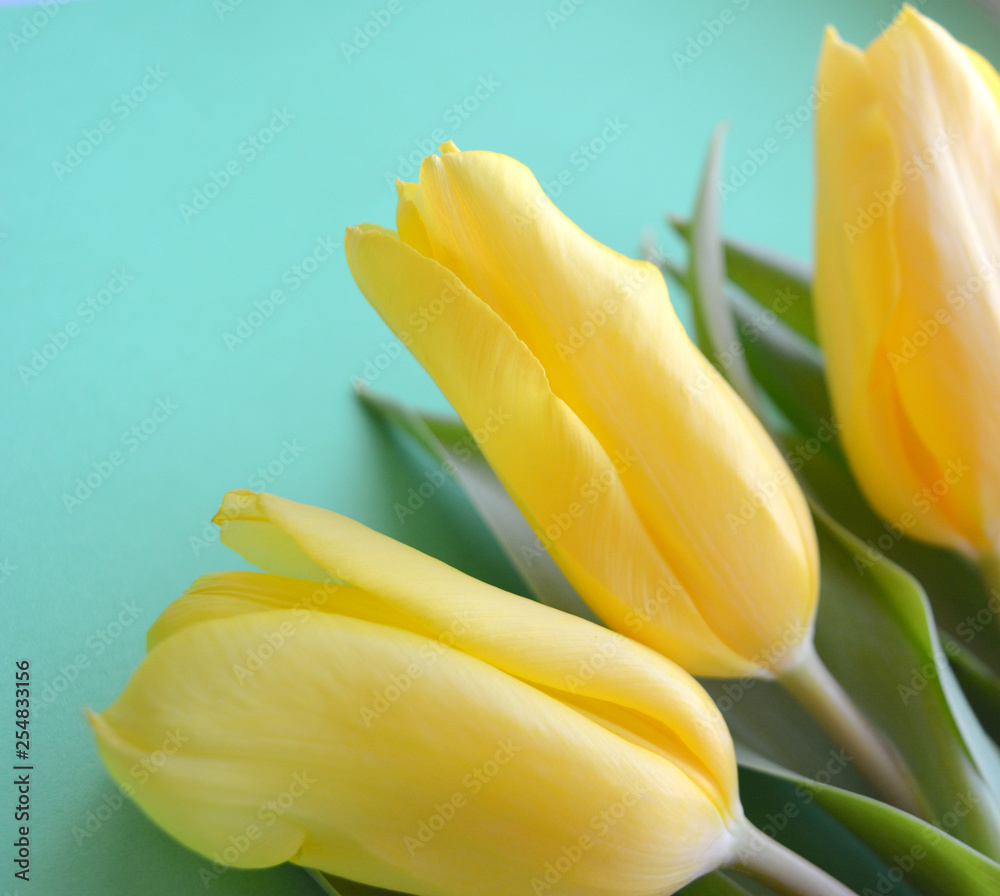 Bouquet of yellow tulips on a green background Bouquet of yellow tulips on a green background