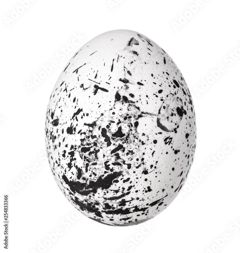 Colorful Easter Egg isolated on white