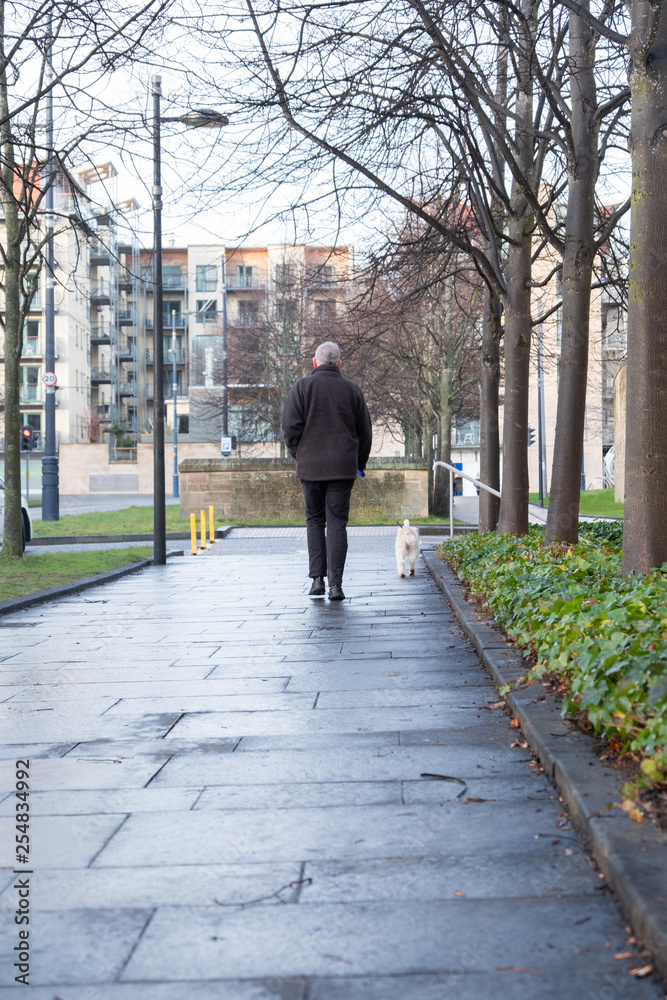 Elderly gray-haired old man walks the dog on a Scottish street