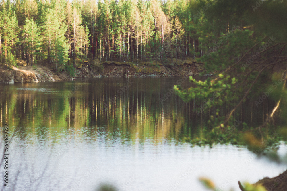 Obraz premium lake in forest