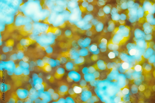 Blue sky and green tree leaves, natural blurred bokeh background photo