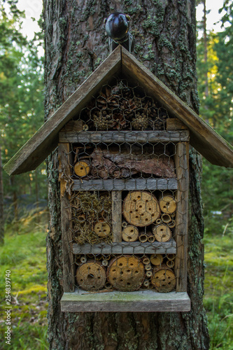 Fototapeta Naklejka Na Ścianę i Meble -  Insect Hotel attached to tree in forest