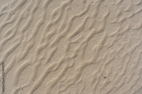 Wind Rippled Sand