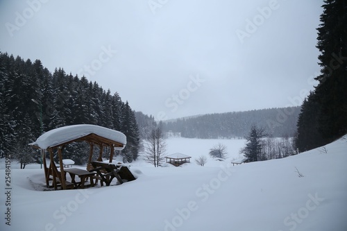  winter landscape photo