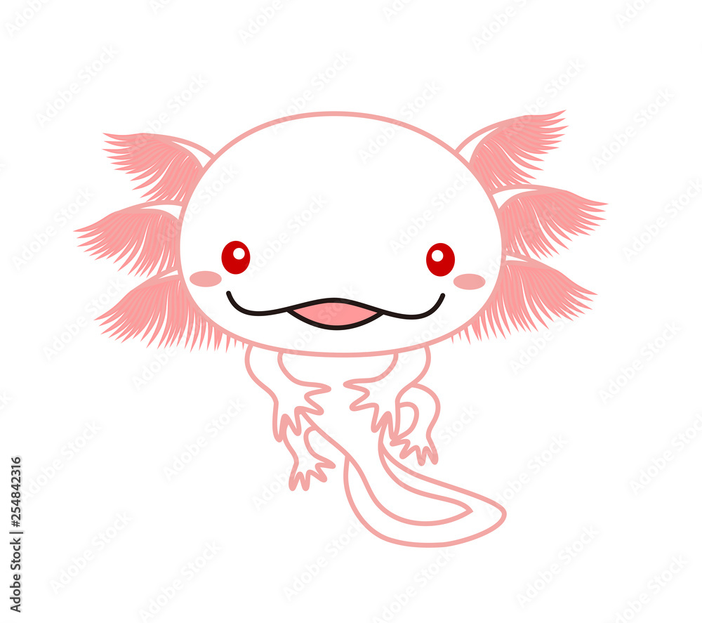 ウーパールーパー 全身 Axolotl アルビノ Stock イラスト Adobe Stock