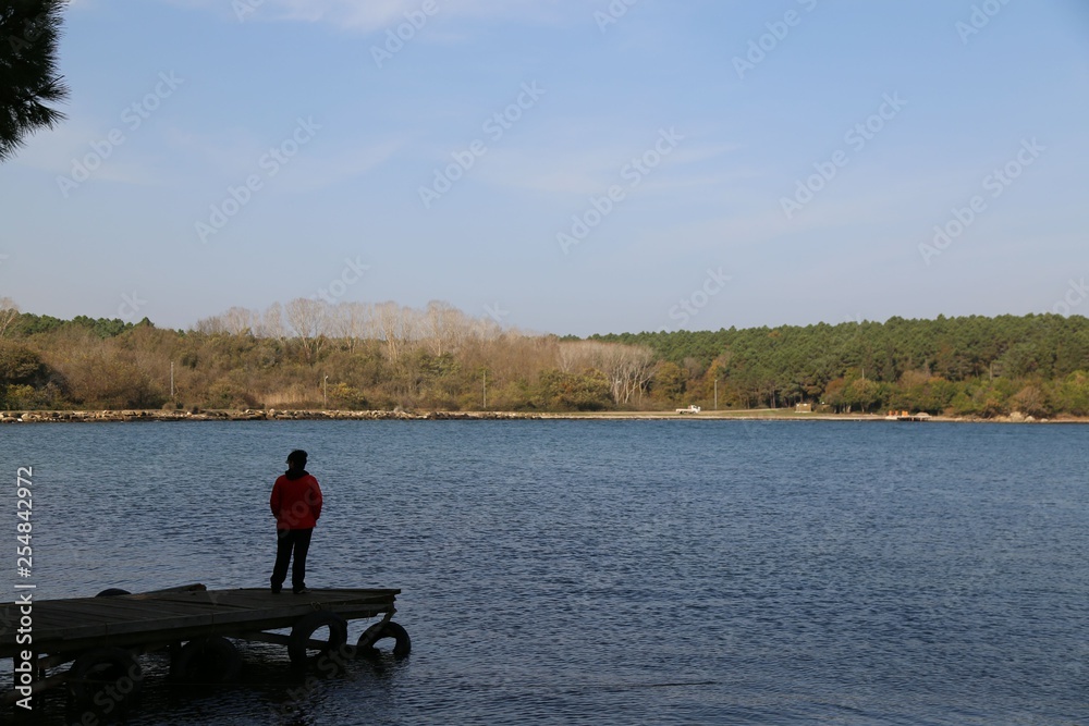 the woman is watching the sea alone (life style) the woman is watching the sea alone (life style)