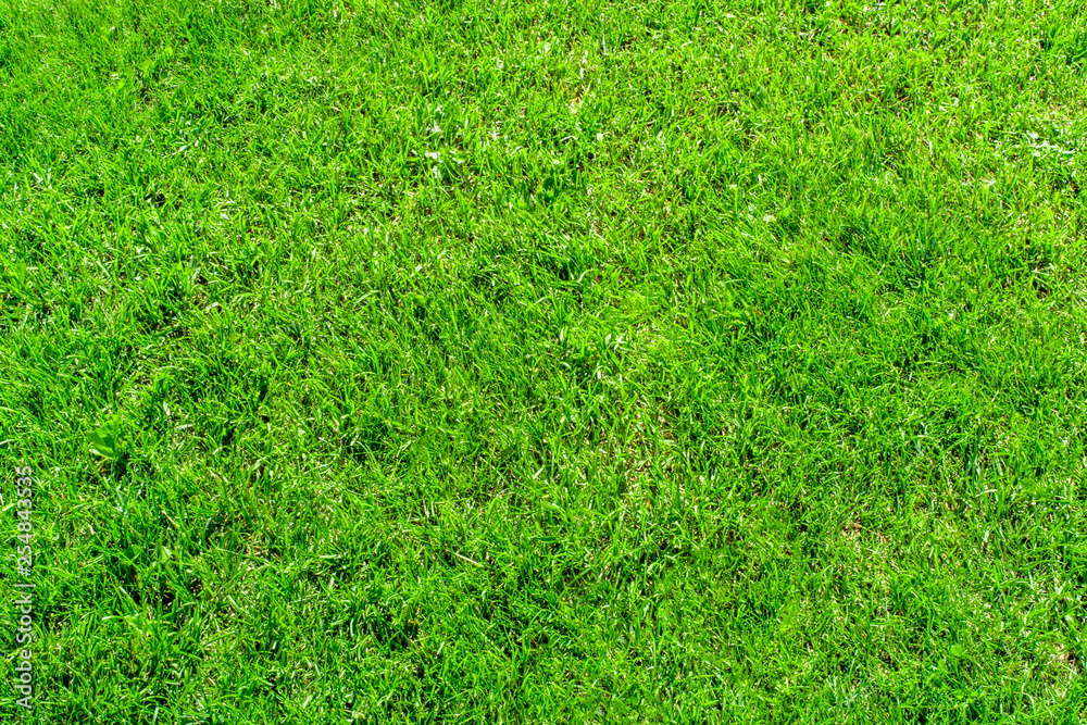 Beautiful background, green juicy grass, for golf and football, texture for design. Beautiful background, green juicy grass, for golf and football, texture for design.