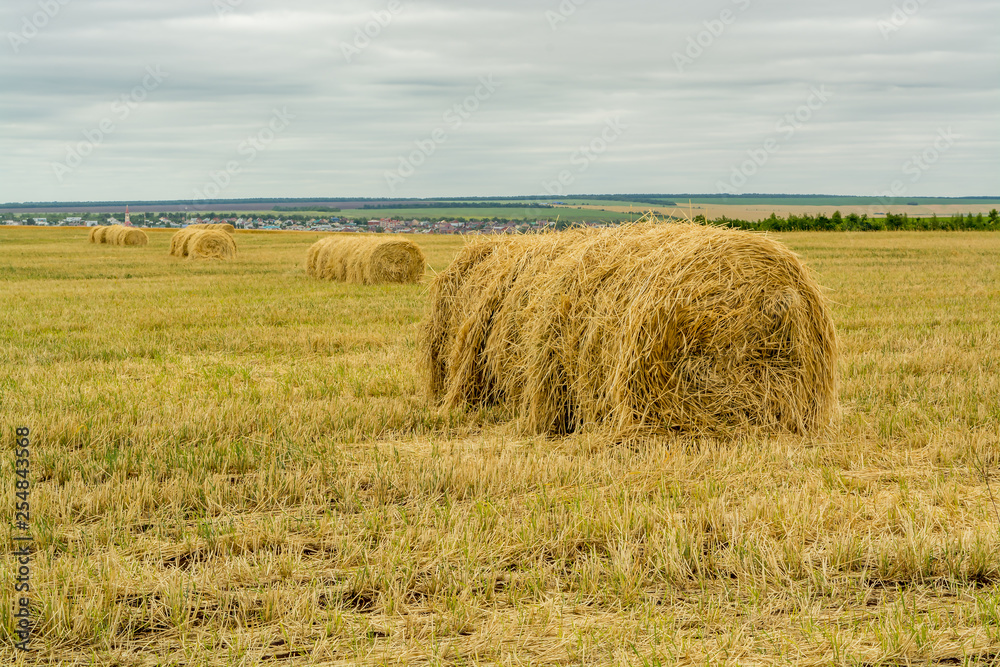Round haystacks, autumn weather