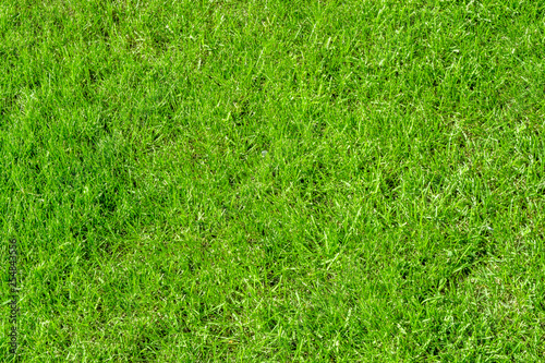 Beautiful background, green juicy grass, for golf and football, texture for design.