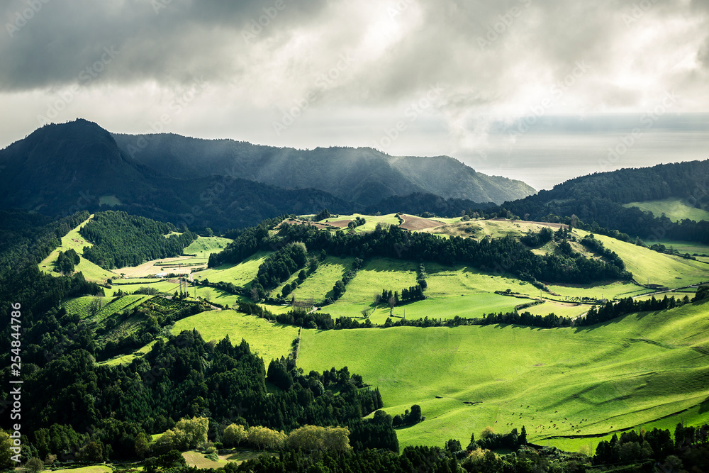 Naklejka premium Beautiful landscape of Azores islands, Sao Miguel. A lot of green fields separated with trees between each other. Cloudy sky.