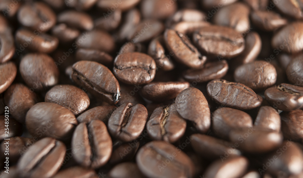 grains de café en gros plan grains de café en gros plan