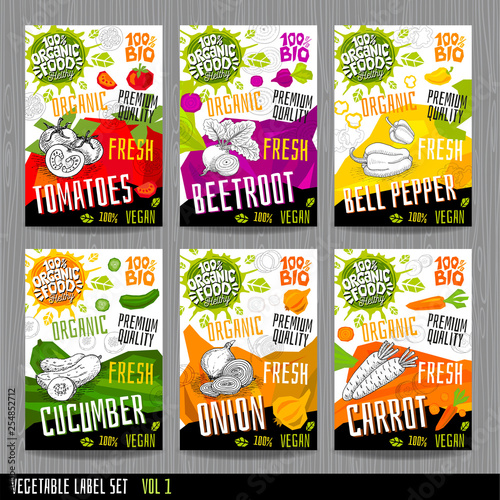 Food label set stickers collection vegetable labels spices package design. Tomatoes, beetroot, bell pepper, cucumber, onion, carrot. Organic, fresh, bio, eco. Hand drawn vector illustration.