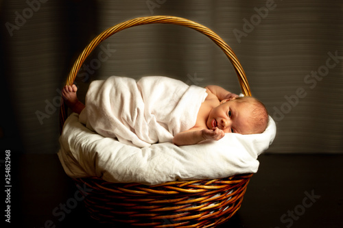 Newborn girl lying in the basket.