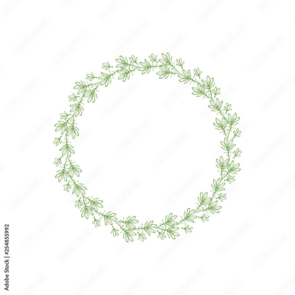 Lovely Hand Drawn Green Elegant Twigs Isolated on a White Background. Round Shape Vector Branch Frame. Vintage Delicate Green Sketched Floral Wreath. Illustration Without Text. Floral Decorative Art. Lovely Hand Drawn Green Elegant Twigs Isolated on a White Background. Round Shape Vector Branch Frame. Vintage Delicate Green Sketched Floral Wreath. Illustration Without Text. Floral Decorative Art.