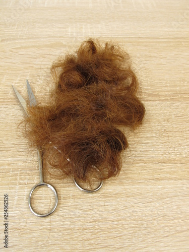 Abgeschnittene kastanienbraune Haarspitzen und eine Schere