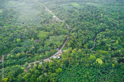 Aerial view tropical green forest on island
