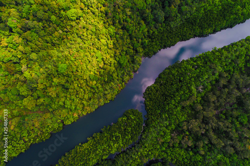 Aerial view of mangrove tropical rainforest with river from mountain to sea