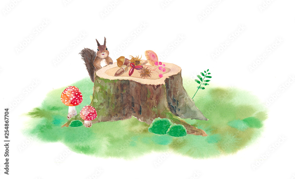 切り株の上にご馳走を並べた可愛いリス キノコ 木の実 コケの水彩イラスト Stock Illustration Adobe Stock 切り株の上にご馳走を並べた可愛いリス キノコ 木の実 コケの水彩イラスト Stock Illustration Adobe Stock