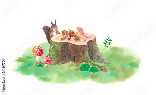 切り株の上にご馳走を並べた可愛いリス キノコ 木の実 コケの水彩イラスト Stock Illustration Adobe Stock